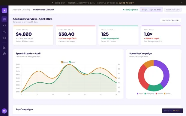 Meta Ads audit demo